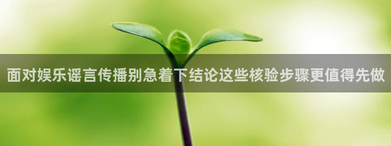 吃瓜视频网站:面对娱乐谣言传播别急着下结论这些核验步骤更值得先做