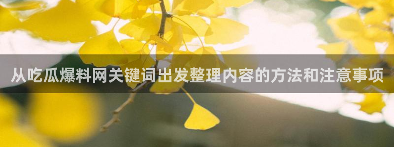 51吃瓜玩偶姐姐：从吃瓜爆料网关键词出发整理内容的方法和注意事项