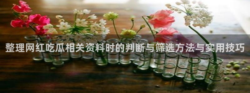 51吃瓜网址:整理网红吃瓜相关资料时的判断与筛选方法与实用技巧