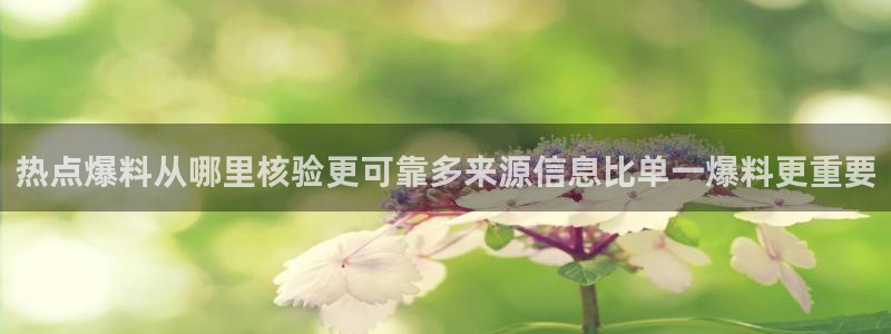 51吃瓜网app:热点爆料从哪里核验更可靠多来源信息比单一爆料更重要