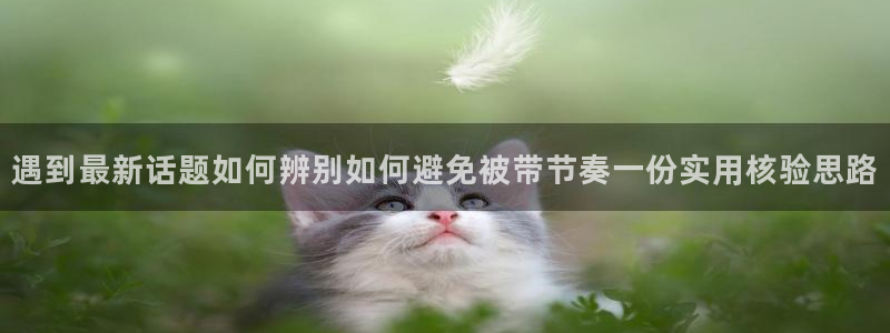 每日吃瓜:遇到最新话题如何辨别如何避免被带节奏一份实用核验思路