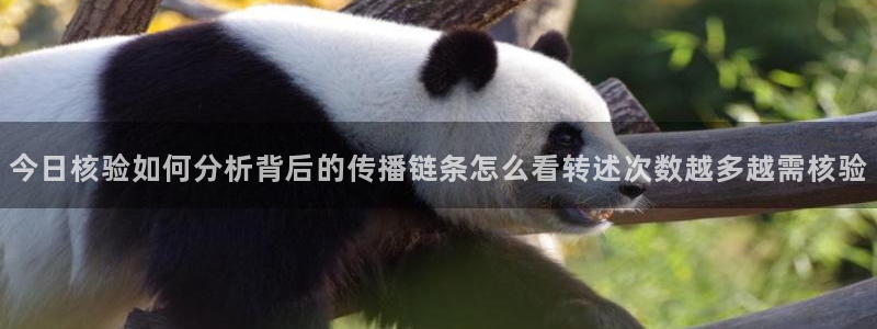 51吃瓜网轻量版:今日核验如何分析背后的传播链条怎么看转述次数越多越需核验