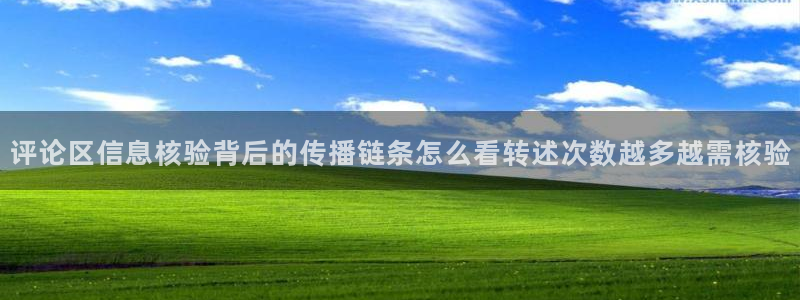 吃瓜网在线:评论区信息核验背后的传播链条怎么看转述次数越多越需核验