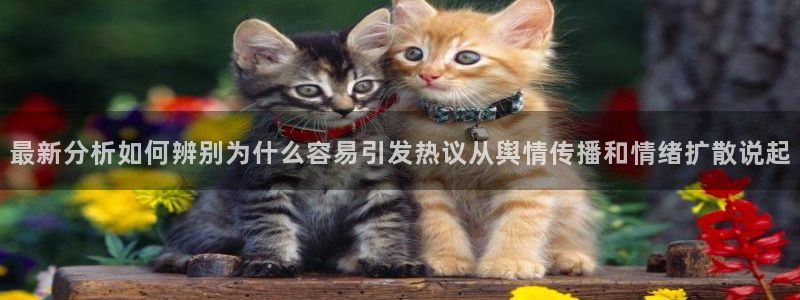 今日吃瓜必吃大瓜:最新分析如何辨别为什么容易引发热议从舆情传播和情绪扩散说起