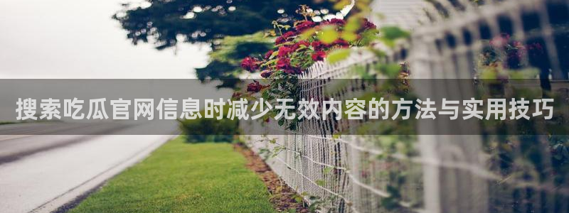 吃瓜大赛:搜索吃瓜官网信息时减少无效内容的方法与实用技巧